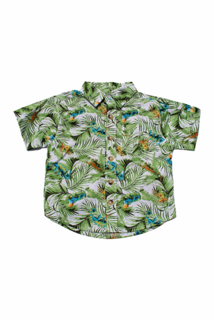 
            
                Load image into Gallery viewer, Green Chameleon Button Up Shirt
            
        